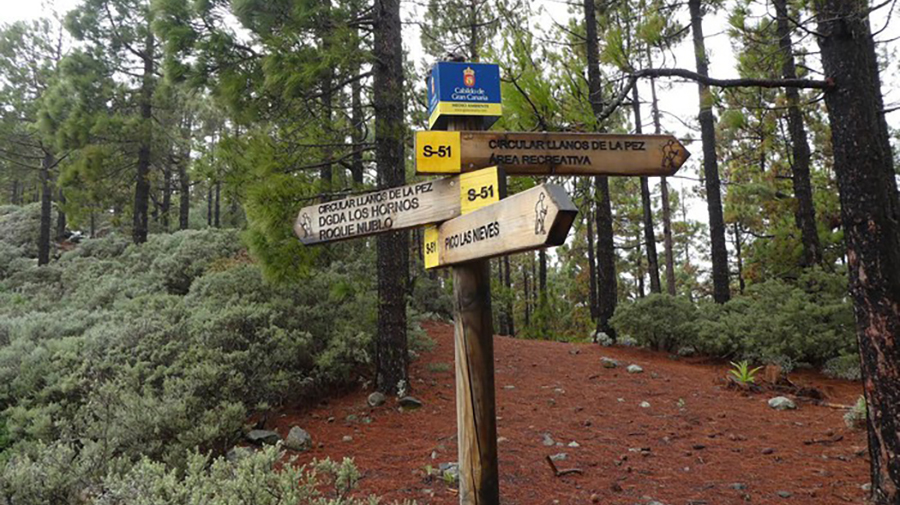 De zilverstraat - Van Llanos de la Pez via Degollada de Cruz Grande naar Tunte